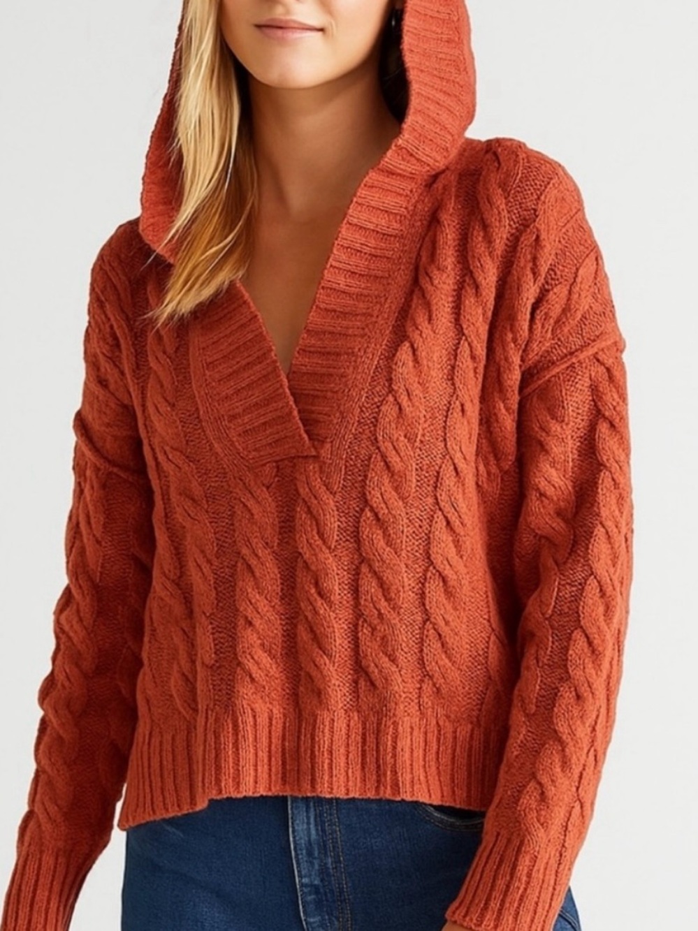 American Eagle Outfitters Rust Cable V-Neck Hooded Sweater
